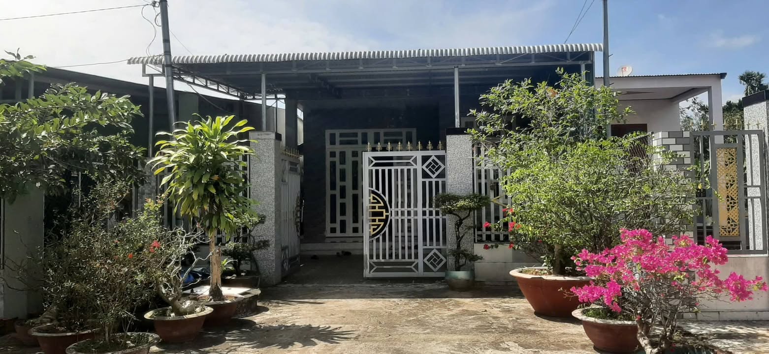 Đất thổ cư 300m² xã Mê Pu, Đức Linh giá 1.3 tỷ - Chính chủ cần bán gấp!