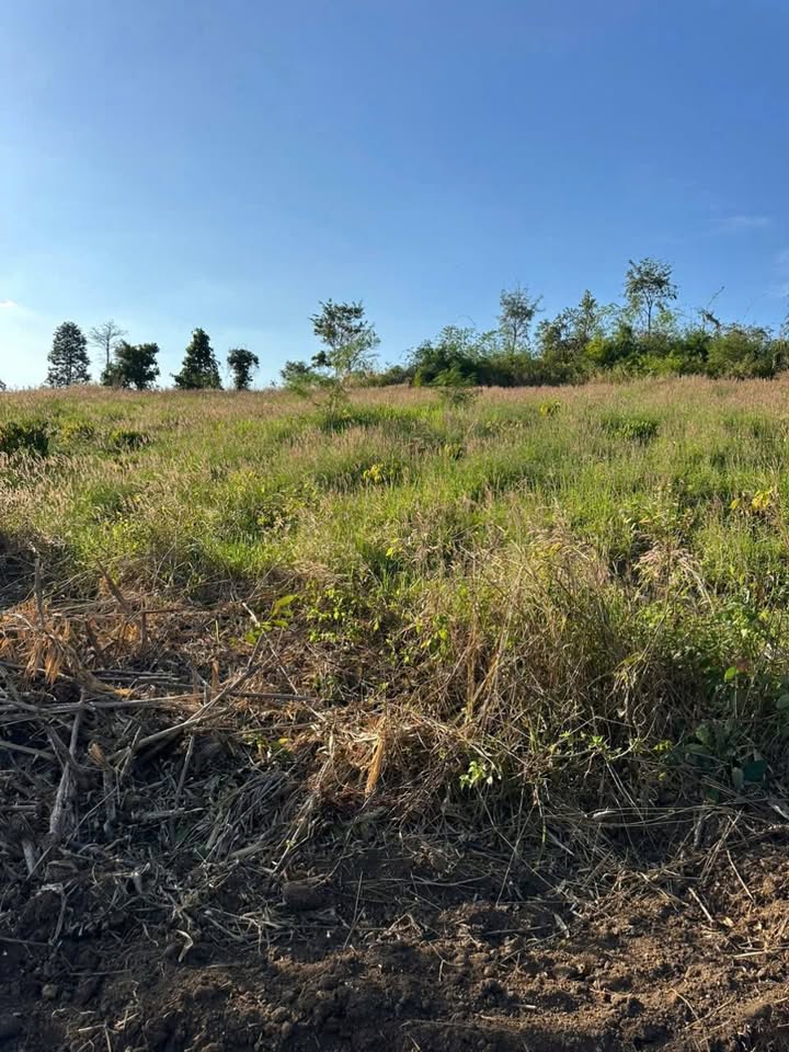 Đất nền xã Ea Tir, Huyện Ea H'leo 20.000m² giá 600 triệu - Cơ hội đầu tư tuyệt vời!