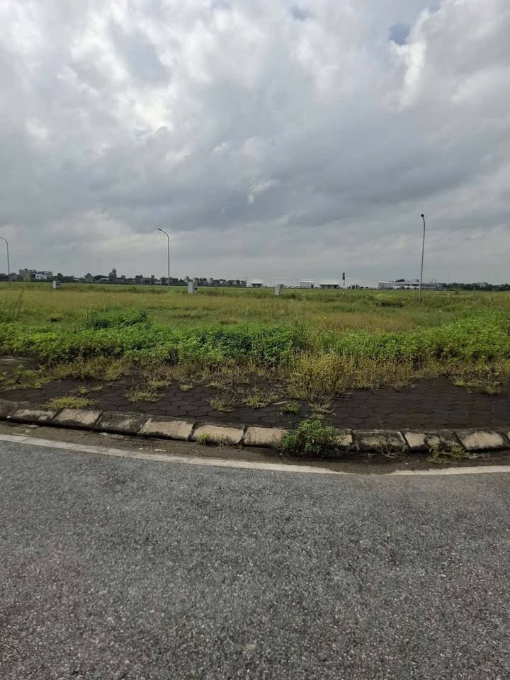 Đất nền xã Bình Nghĩa, Bình Lục 75m² giá chỉ 18xx triệu - Cơ hội đầu tư tuyệt vời!