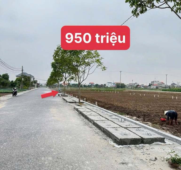 Đất nền 115m² đường Đoàn Nhữ Hài giá thỏa thuận - Đầu tư ngay hôm nay!