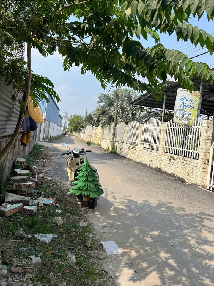 Đất nền Hóc Môn 114m² giá 3.1 tỷ - Mặt tiền nhựa D1 thông thoáng!