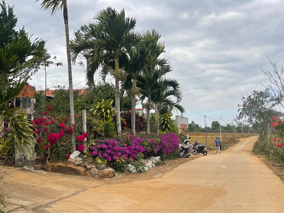 Đất nền Phường Hội Phú, Pleiku 175m² giá chỉ 400 triệu - Cơ hội đầu tư hấp dẫn!