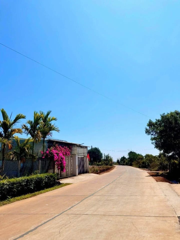 Đất nền mặt tiền đường Lam Sơn B, Gia Lai 350m² giá 1.6 tỷ - Cơ hội đầu tư hấp dẫn!
