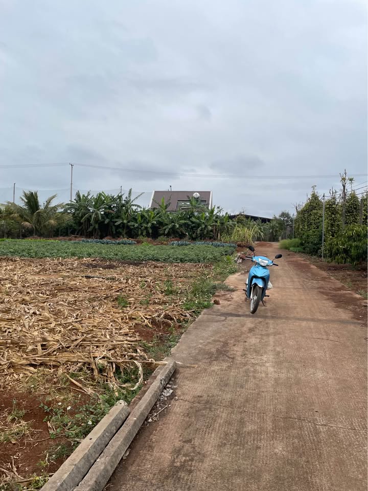 Đất nền phường Hoa Lư Pleiku 405m² giá chỉ 4 triệu/m² - Cơ hội đầu tư hấp dẫn!