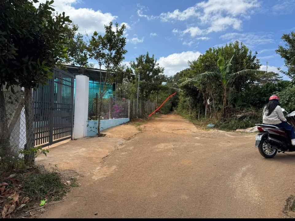 Đất nền 500m² xã Ia Băng, huyện Chư Prông - Giá chỉ 500 triệu