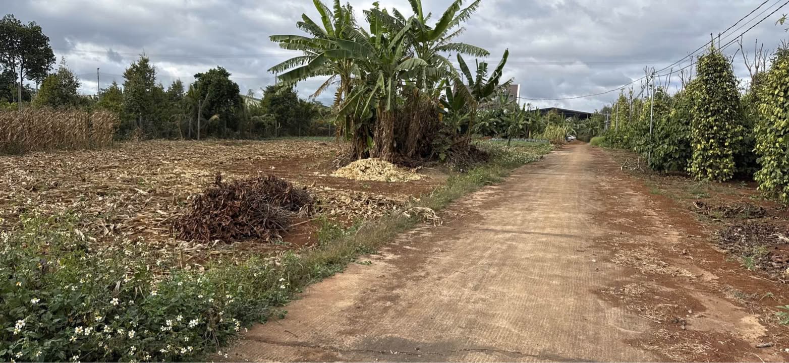 Đất nền hẻm Ngô Quyền, Phường Hoa Lư, 405m² giá chỉ 6xx triệu - Cơ hội đầu tư hấp dẫn!