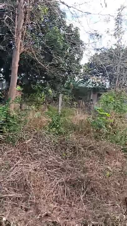 Đất nền 110m² mặt tiền đường Tôn Thất Tùng, Chư Prông, Gia Lai - Giá chỉ 1.15 tỷ!