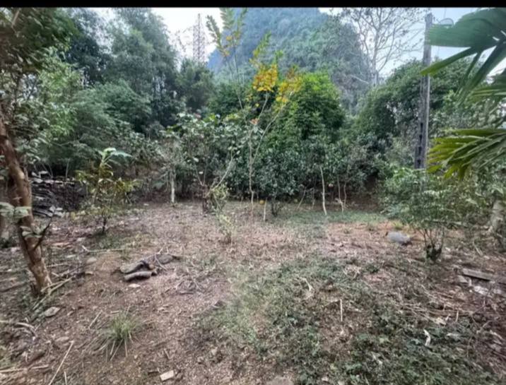 Bán lô đất CLN 740m² tại Tổ 8, Phường Hữu Nghị - Đầu tư sinh lời ngay!