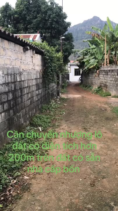 Đất thổ cư 150m² tại Lạc Thủy, Hòa Bình - Giá chỉ 1.4 tỷ - Đầu tư sinh lời!