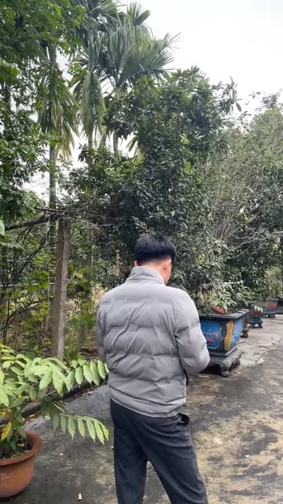 Đất nền Cẩm Khê, Phú Thọ 600m² giá 1 tỷ - Sổ đỏ chính chủ, phù hợp xây nhà