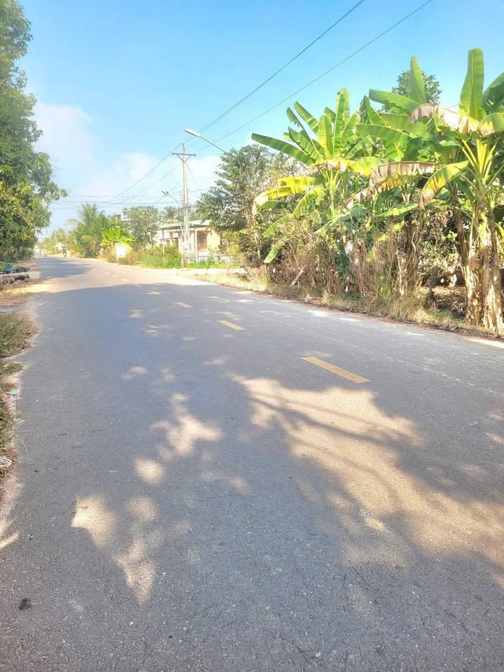 Đất nền Tân Phước Tây, Tân Trụ, 287m² giá 840 triệu - Đầu tư sinh lời ngay!