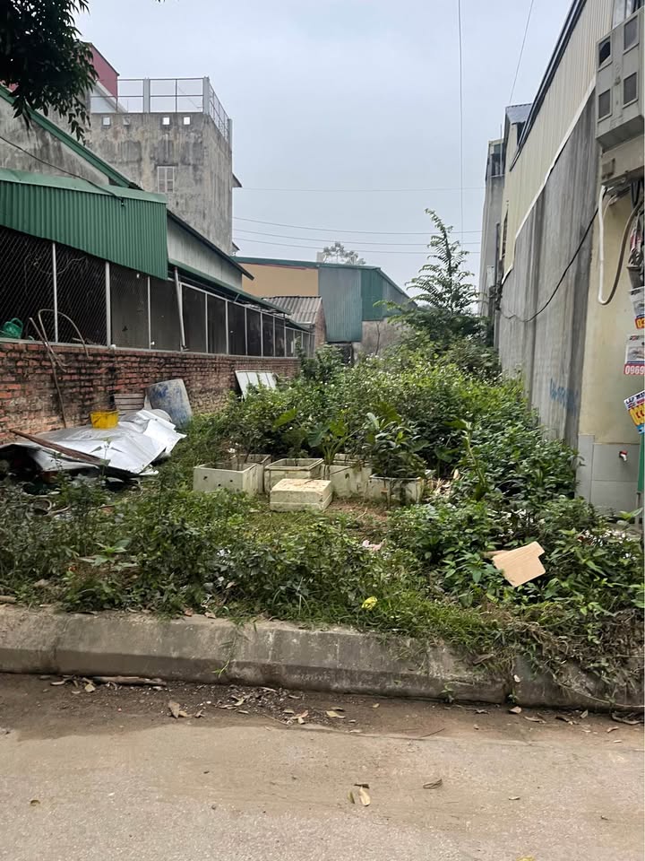 Đất thổ cư Đồng Trạng, Sơn Tây 100m² chỉ 3.1 tỷ - Sổ đỏ chính chủ