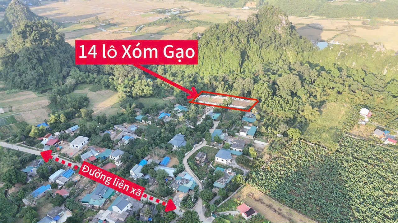 Đất nền Xã Cao Xuân Dương 90m² giá 300 triệu - Đầu tư sinh lời ngay!
