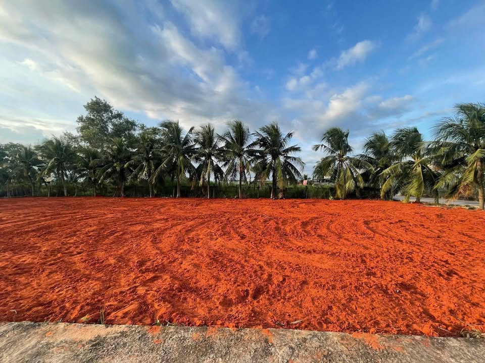 Đất thổ cư 958,9m² tại Hàm Thắng - Giá hợp lý cho đầu tư