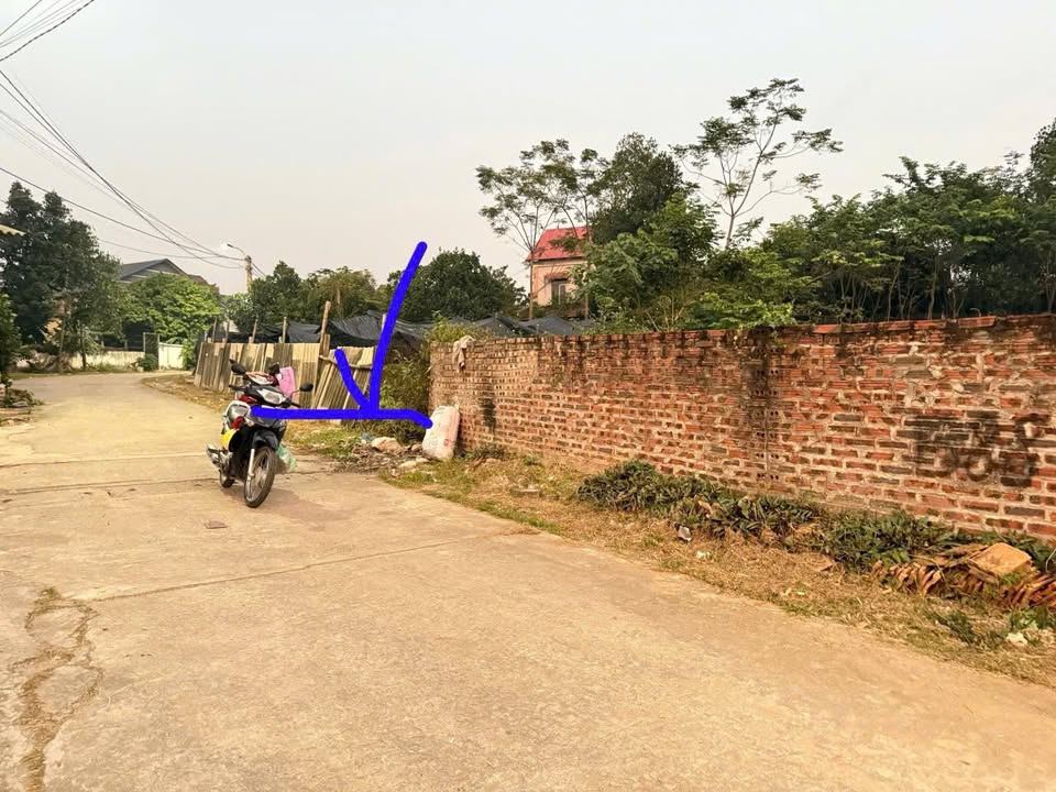 Đất thổ cư 102m² tại Thôn Trại Giềng, Xã Thanh Vân - Giá chỉ 1.1 tỷ!