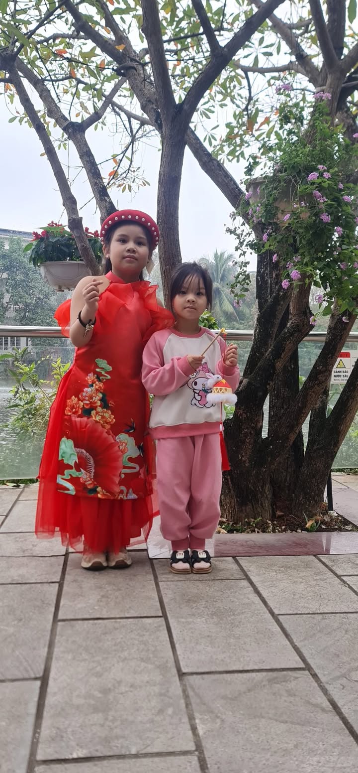 Đất thổ cư 400m² mặt tiền 50m tại Lập Thạch - Giá chỉ 700 triệu VND