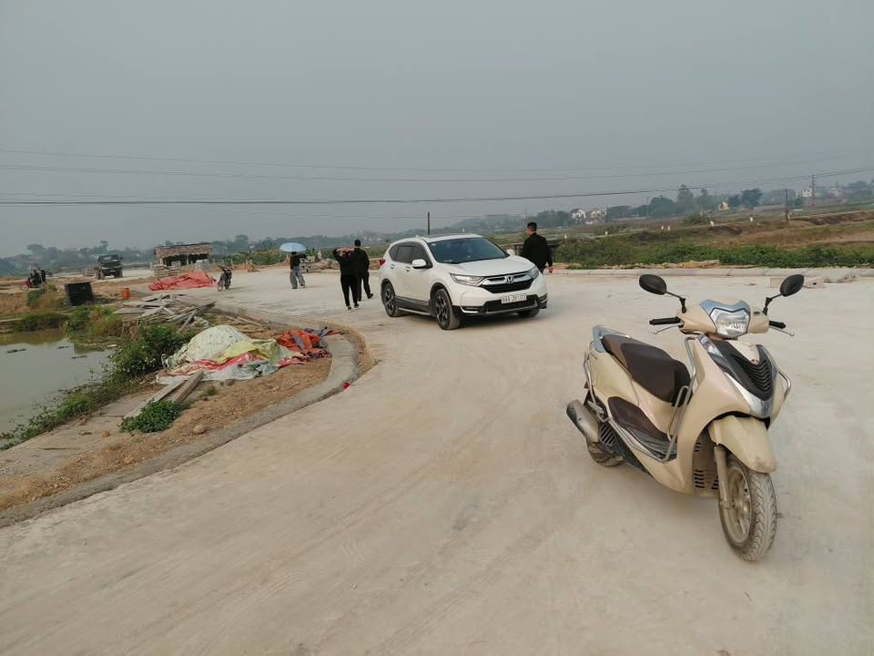 Đất đấu giá Hoàng An, Tam Dương, Vĩnh Phúc 120m² giá chỉ 1.6 tỷ - Cơ hội đầu tư tuyệt vời!