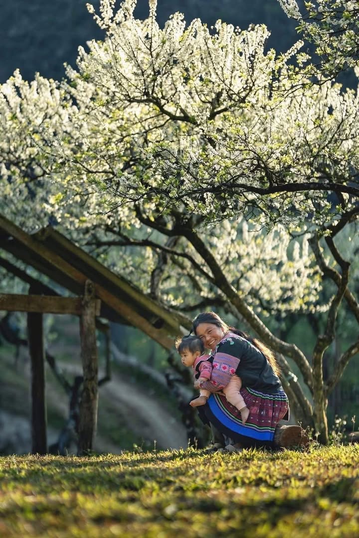 Đất thổ cư Phường Mộc Sơn 250m² giá chỉ 1 tỷ - Cơ hội đầu tư hấp dẫn!