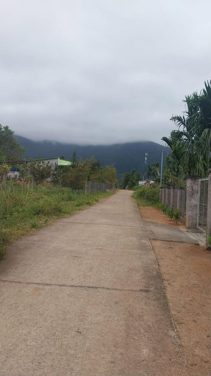 Đất nền Tân Thạnh, Thanh Bình 270m² giá chỉ 240 triệu - Cần tiền bán gấp trước Tết!