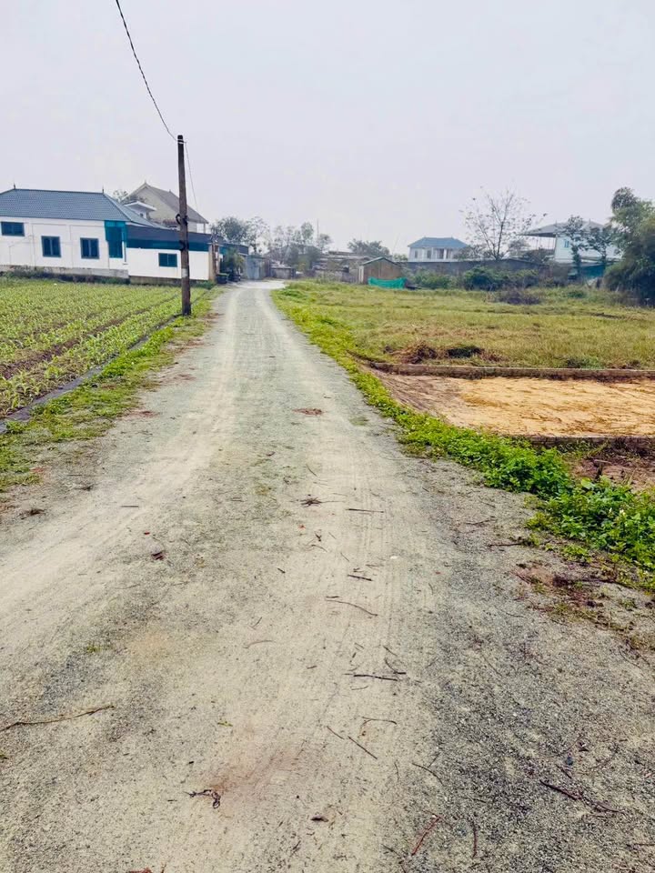 Đất thổ cư 117m² tại Đường Thảm nhựa, Phường Nghi Hòa - Giá 3 tỷ VND, Sổ đỏ chính chủ!