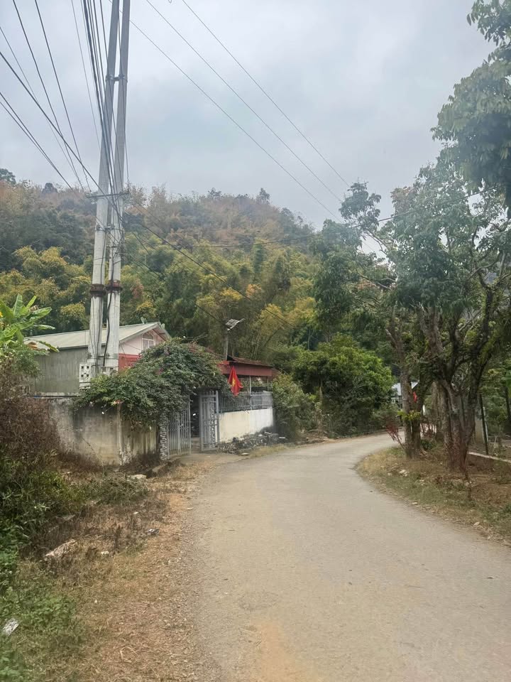 Đất thổ cư Bản Bó, Chiềng An 400m² giá 1.4 tỷ - Cơ hội đầu tư tuyệt vời!