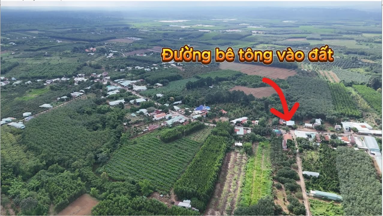 Đất Farm xã Phú Lý, huyện Vĩnh Cửu, 32000m² giá 8.8 tỷ - Cơ hội đầu tư sinh lời!