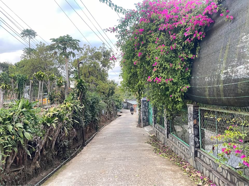 Đất nền Bảo Lâm 303,9m² giá 1.35 tỷ - Gần chợ Cũ Lộc An, hướng Đông