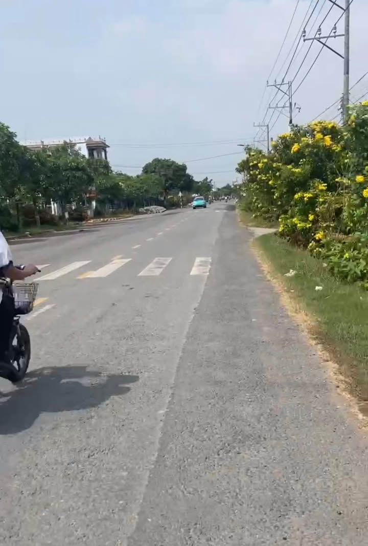 Đất thổ cư 5200m² mặt tiền Tỉnh lộ 834, Thủ Thừa - Cơ hội đầu tư lớn!