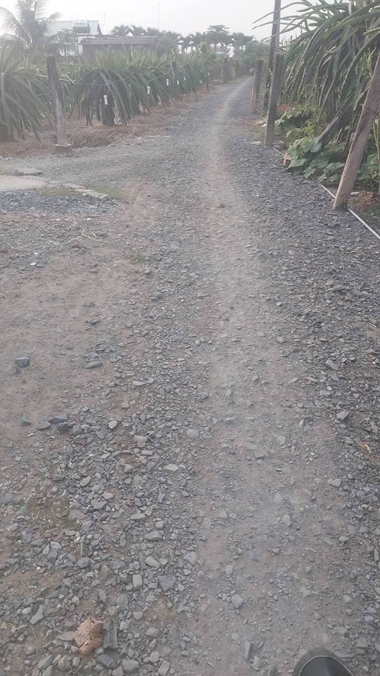 Đất Lúa 1252m² tại Thanh Phú Long, Châu Thành - Giá chỉ 599 triệu