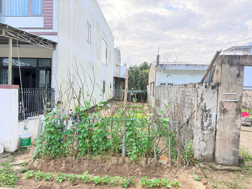 Đất nền Phường Thanh Bình, Hải Châu, Đà Nẵng 100m² – Tiềm năng sinh lời cao, tiện ích đầy đủ