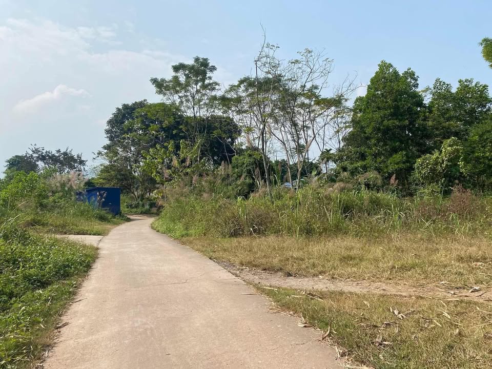 Đất thổ cư xã Cổ Lũng, Huyện Phú Lương 250m² giá 500 triệu - View hồ tuyệt đẹp!