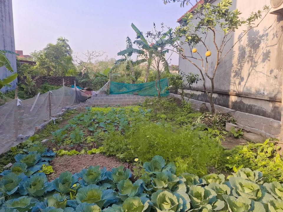 Đất nền thôn Đông Chiểu, Hưng Yên 67m² giá chỉ 2 tỷ - Nhiều tiện ích xung quanh!