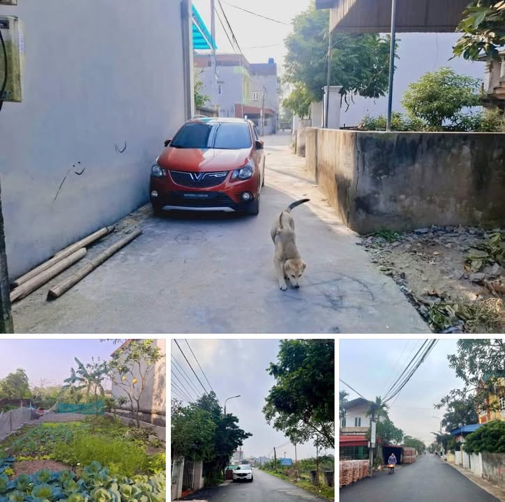 Đất nền thổ cư xã Liên Phương 67m² giá 2.3 tỷ - Hướng Nam mát mẻ, sổ đỏ chính chủ!