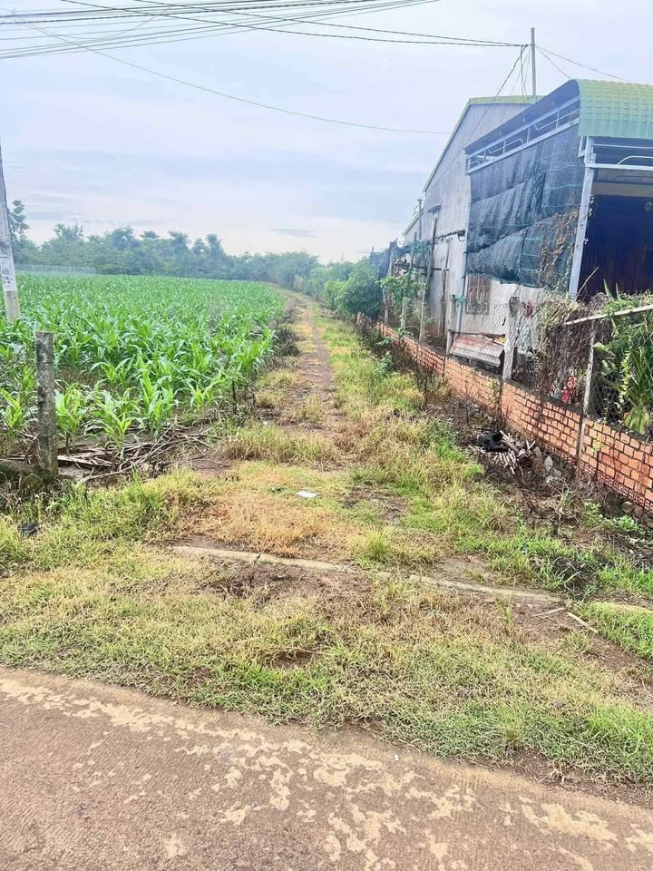 Đất thổ cư 9360m² thôn Ea Duất - Giá chỉ 600 triệu - Chính chủ bán nhanh!