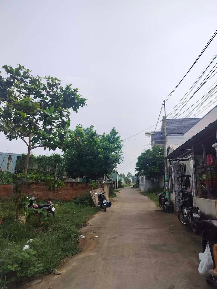 Đất nền 161m² tại Ấp Bến Cam, Nhơn Trạch - Sổ hồng chính chủ, giá chỉ 1.15 tỷ!