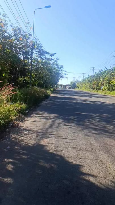 Đất thổ cư 269m² tại xã La Ngà, giá chỉ 1 tỷ - Cơ hội đầu tư tuyệt vời!