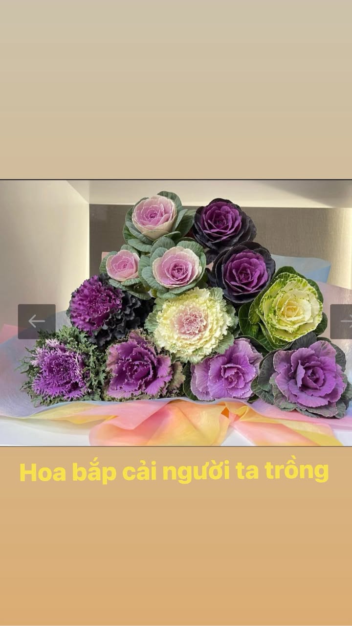 Đất nền KĐT Hoàng Lý Duy Tiên 82m² giá 3 tỷ - Đầu tư sinh lời ngay!