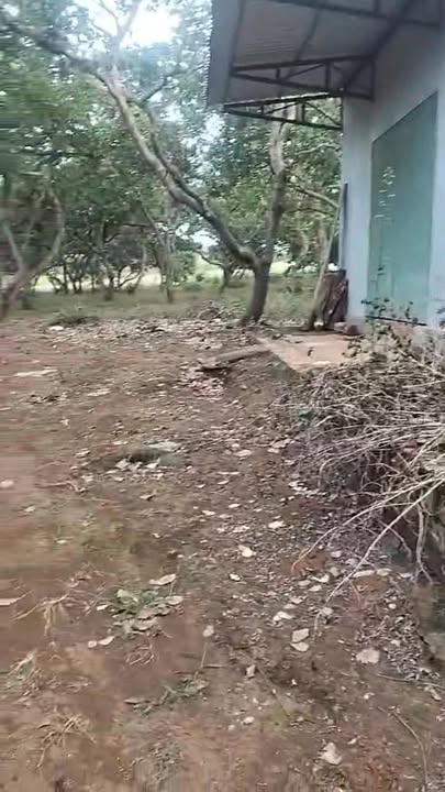 Đất Farm 21600m² tại Xã Bình Minh, Huyện Bù Đăng - Cơ hội đầu tư tuyệt vời!