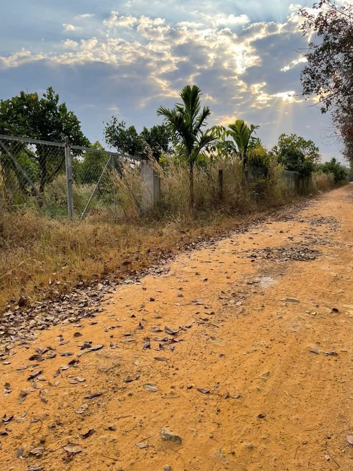 Đất nền 18.468m² tại Thạnh Tây, Tân Biên - Mặt tiền đường Đất Đỏ, giá 5.75 tỷ!