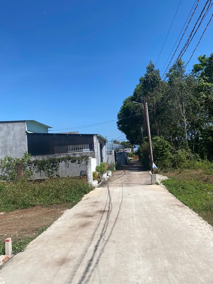 Lô đất sổ riêng 5x26m tại Bảo Vinh - Tiềm năng tăng giá cao, chỉ 390 triệu!