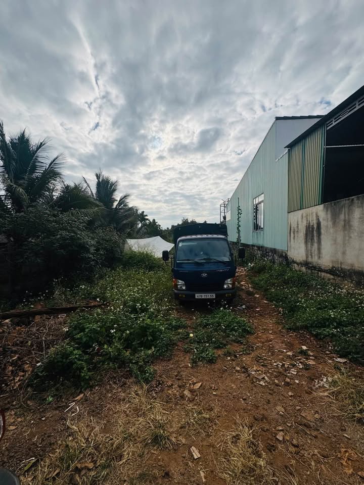 Đất thổ cư tại Thôn 9, Tân Lập, Buôn Ma Thuột - 297m² - Đầu tư sinh lời!