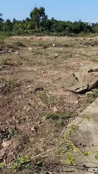 Đất nền 500m² tại Bình Mỹ, Củ Chi chỉ từ 200 triệu - Cơ hội đầu tư hấp dẫn!