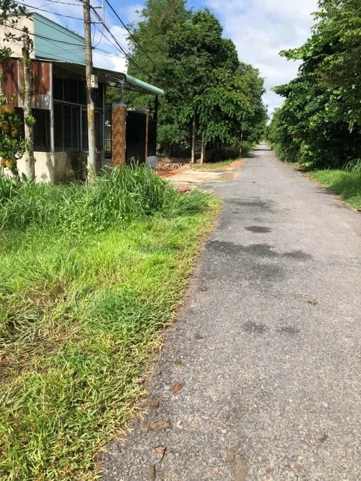 Đất nền 793, xã An Nhơn Tây, huyện Củ Chi 666m² giá 3.1 tỷ - Cơ hội đầu tư tuyệt vời!