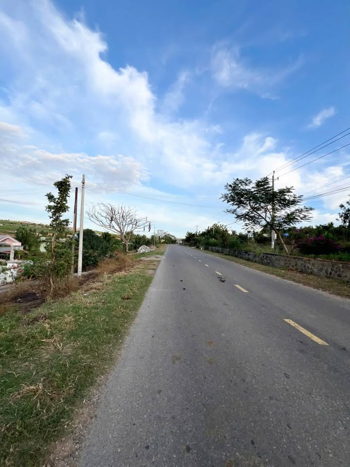 Lô đất mặt tiền ĐT715, xã Hàm Đức, 1200m² - Cơ hội đầu tư hấp dẫn!