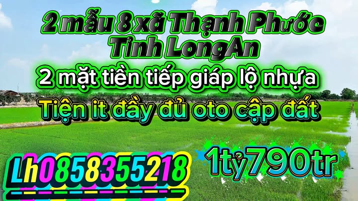 Đất nông nghiệp 5 mẫu tại xã Tân Thành, Huyện Thủ Thừa - Chuyển đổi CLN giá 1.4 tỷ