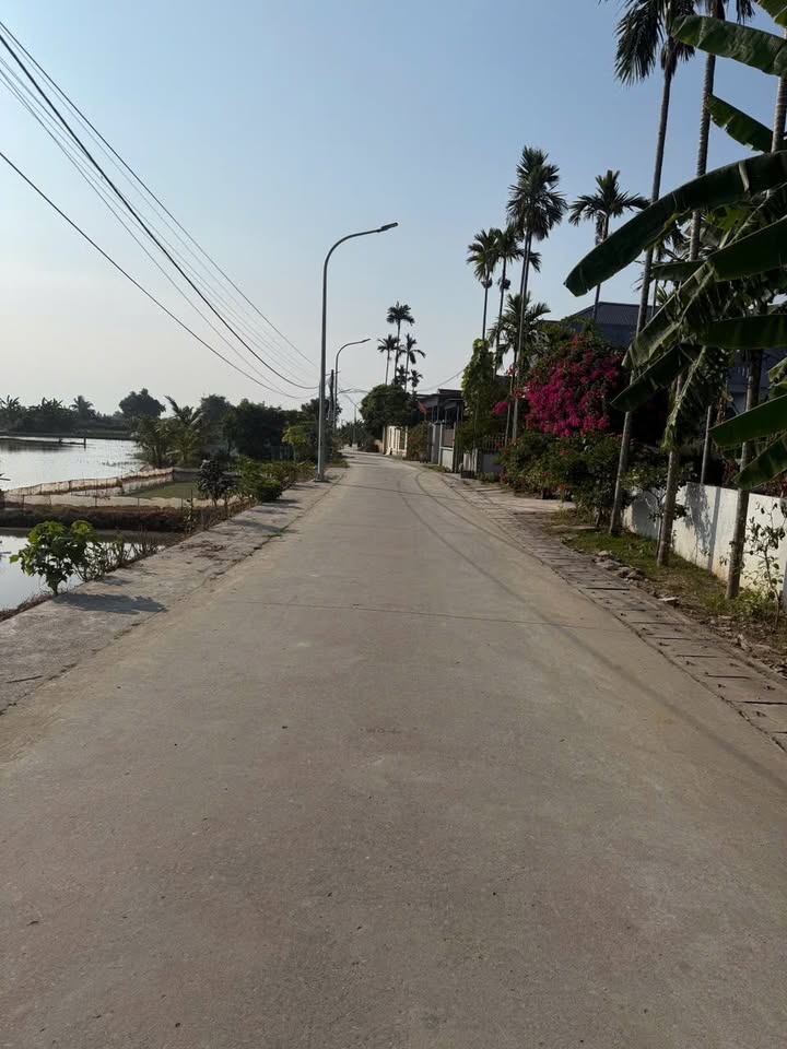 Nhà vườn view sông tại Kiến Thụy 500m² - Không thể bỏ lỡ!