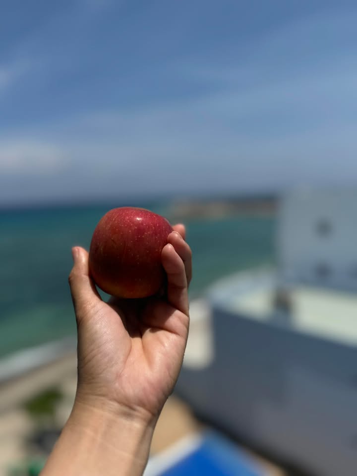 Nhà mặt tiền Đường số 9, Gò Vấp 62m² giá 8.2 tỷ - Vị trí kinh doanh sầm uất!