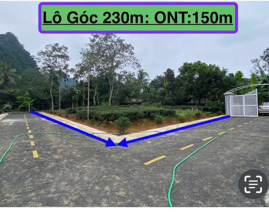 Đất nền lô góc 230m² tại An Đạo, Phú Thọ giá 1 tỷ - Tiềm năng đầu tư cao!
