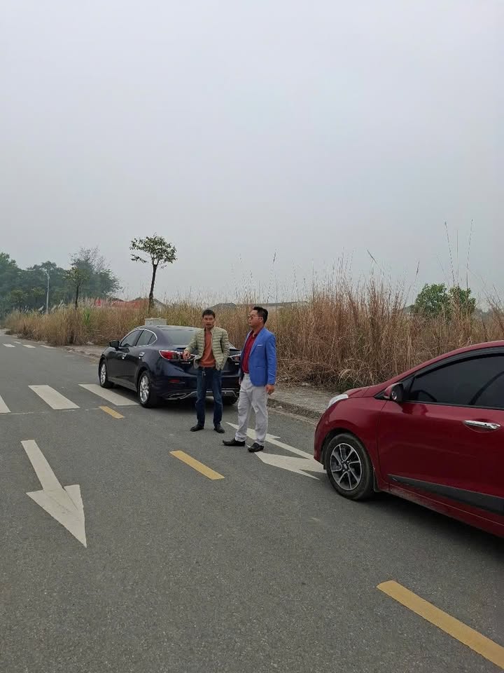 Lô đất Tiên Lục 163m² giá 800 triệu - Cơ hội đầu tư hấp dẫn!