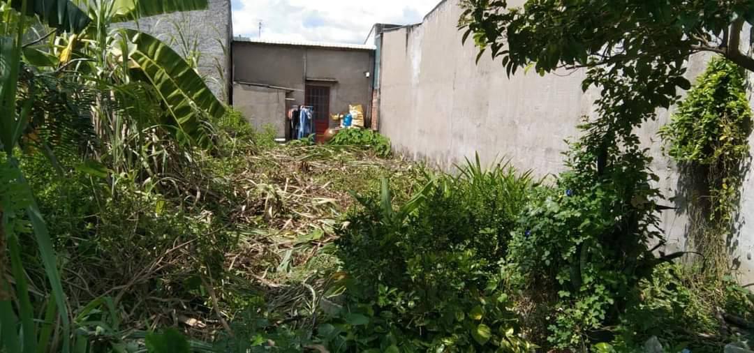 Đất thổ cư xã Tân Tây 100m² giá 777 triệu - Cơ hội đầu tư hấp dẫn!